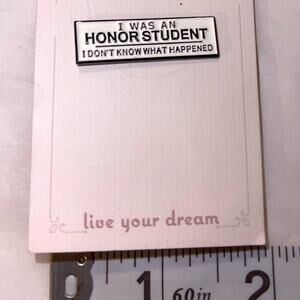 I Was an Honor Student Don’t Know What Happened Pin Brooch